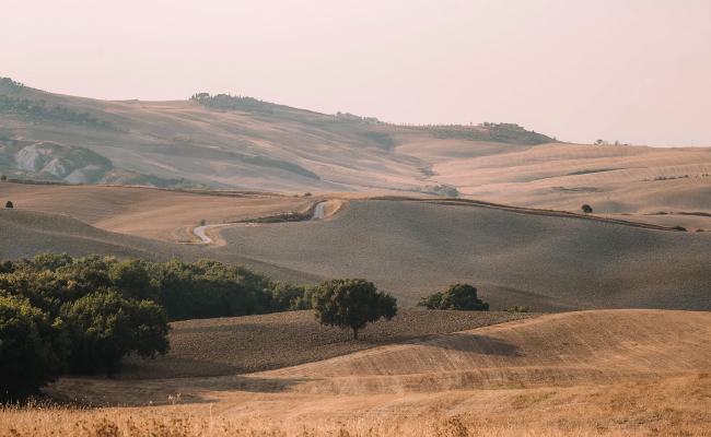 5 tips to Improve your landscape photography