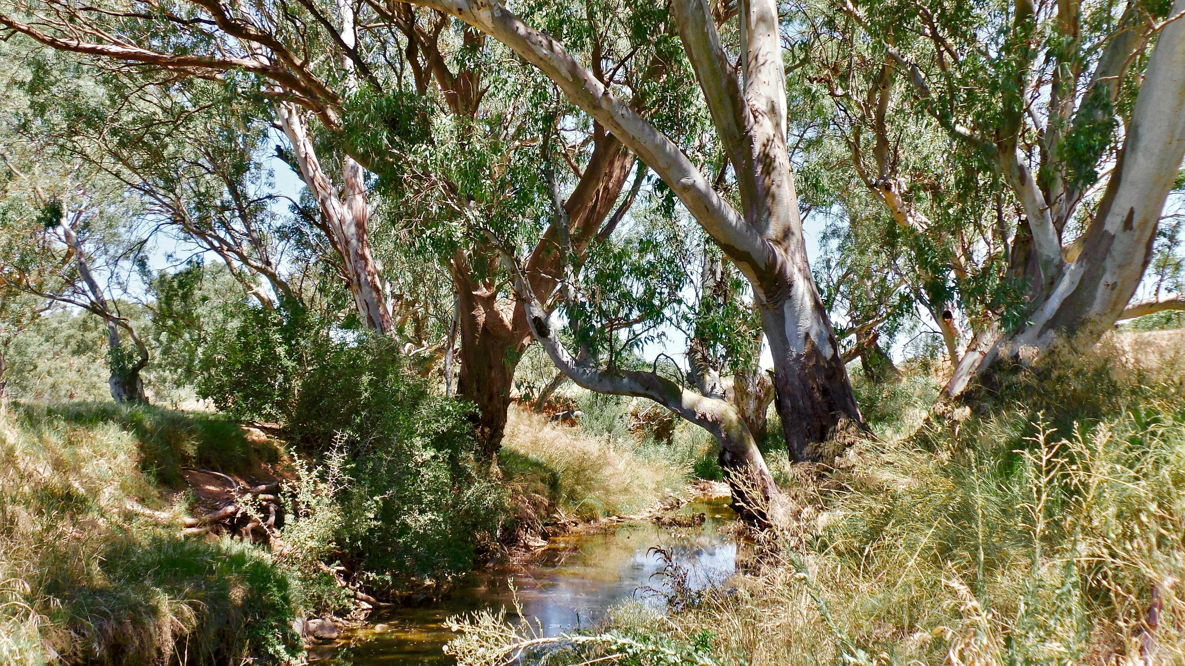 The Gentleman’s Guide to Outdoor Etiquette