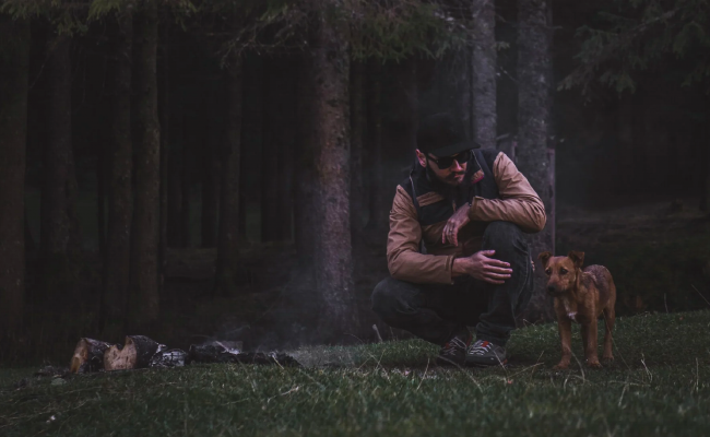 Guide to camping with your dog